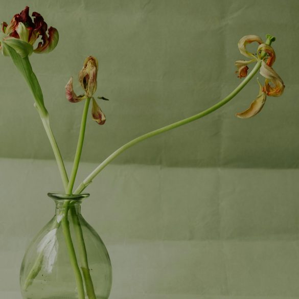 verblühte Blumen in einer Vase
